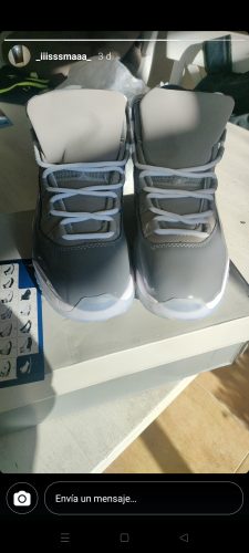 Air Jordan 11 Cool Gray photo review